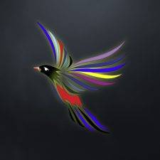 Свободная птица | Bird of Freedom