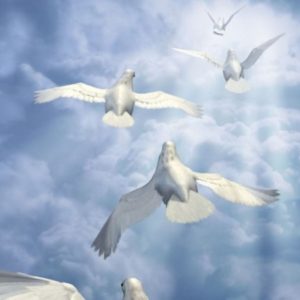 Сказка Новогодняя Петряшева Минус Скачать Бесплатно Сказка Новогодняя Петряшева Минус Скачать Бесплатно